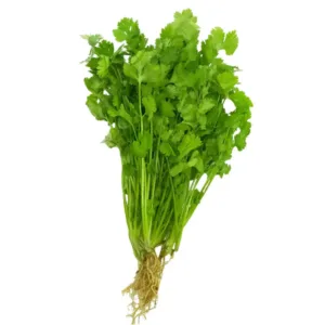 Cilantro Fresco Atado